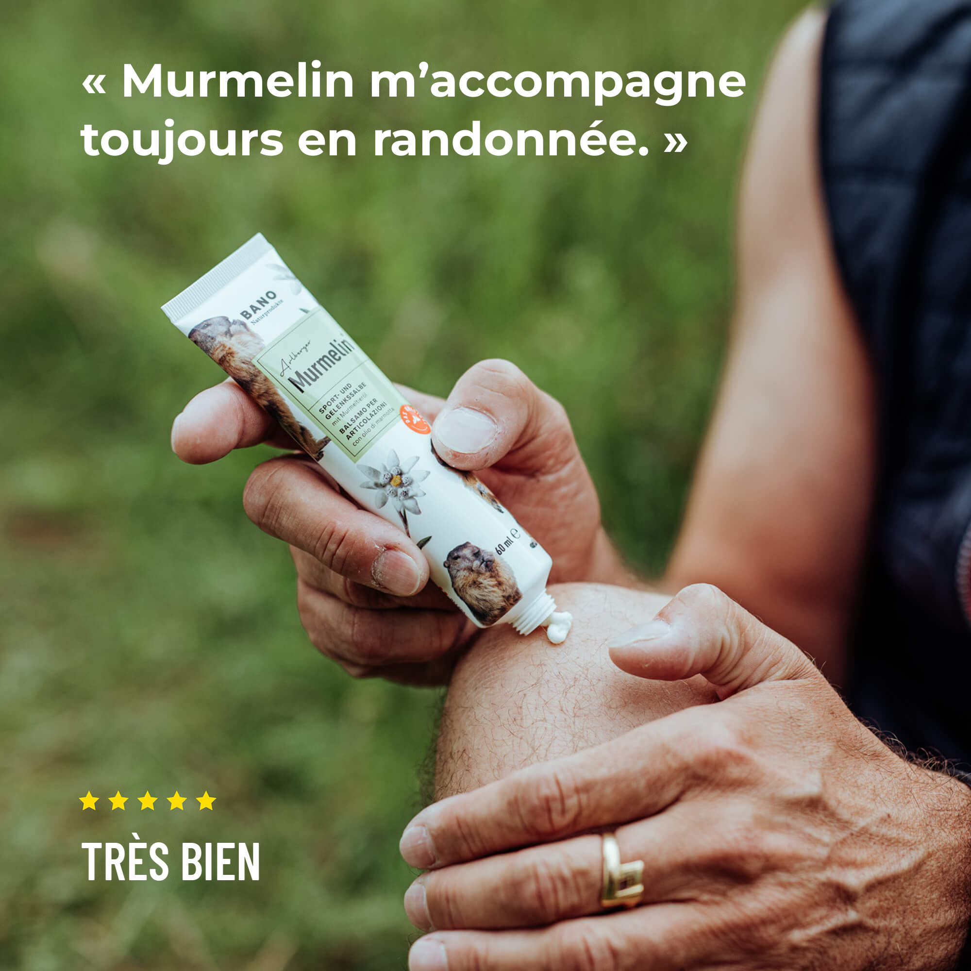 Pommade pour muscles et articulations Murmelin Arlberger